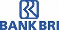 Logo bri